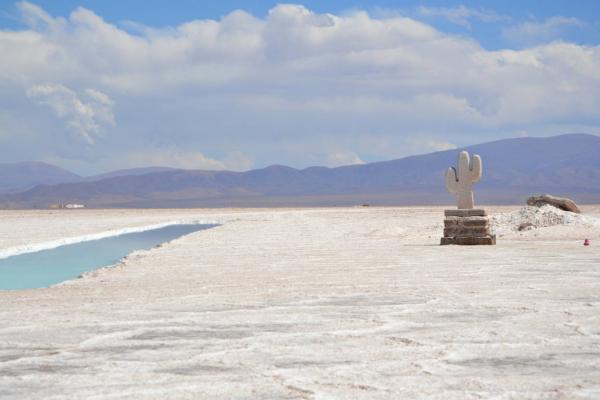 5 SALINAS GRANDES